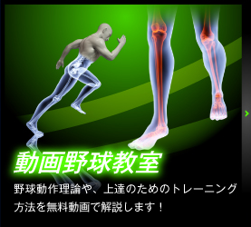 動画野球教室